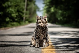 Pet Sematary - Trailer Italiano