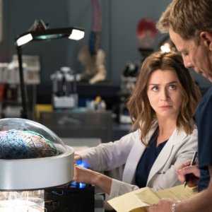 Grey's Anatomy: una foto della quindicesima stagione