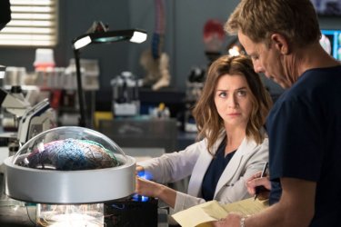 Greysanatomy S15 E1 5Whhq2Y