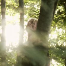 Storie del dormiveglia: un'immagine del documentario