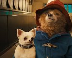 Paddington: in arrivo il terzo film con protagonista il simpatico orsetto