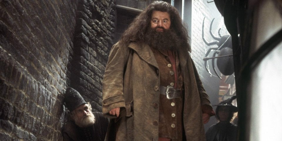 Robbie Coltrane As Hagrid In Harry Potter