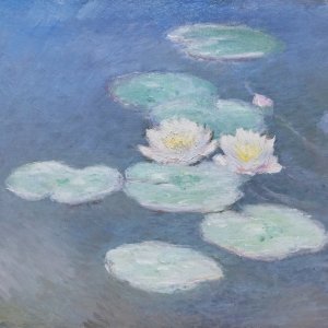 Le ninfee di Monet - Un incantesimo di acqua e luce: un'immagine tratta dal documentario