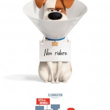 Locandina di Pets 2 - Vita da animali