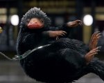 Da Animali fantastici ad Harry Potter, 10 creature magiche dell'universo di J.K. Rowling