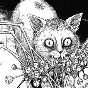 Un'immagine tratta da un manga di Junji Ito