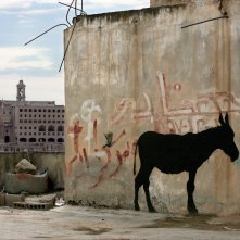 L'uomo che rubò Banksy: un'immagine del documentario di Marco Proserpio