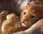 Il Re Leone, il teaser trailer del film live action è emozionante