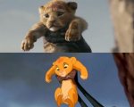 Il Re Leone: le scene del cartoon e del film 2019 a confronto in un video