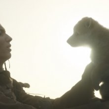 Alpha - Un'amicizia forte come la vita: Kodi Smit-McPhee in una scena del film