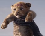 Il Re Leone: 'Non chiamatelo film live action', la polemica infiamma i social