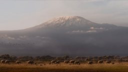 The Lion King - Trailer