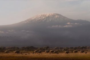 The Lion King - Trailer