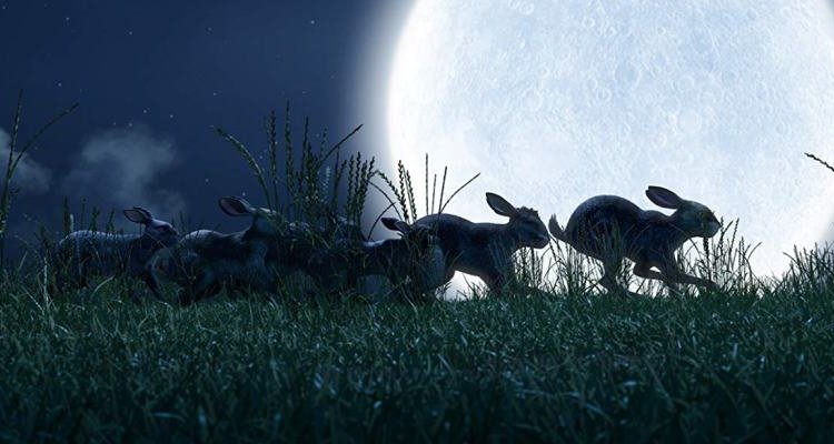 La collina dei conigli (2018) Serie TV Movieplayer.it