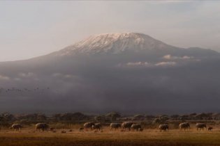 Il Re Leone - Trailer Ufficiale Italiano