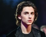 Timothée Chalamet e Benicio Del Toro nel cast del nuovo film di Wes Anderson