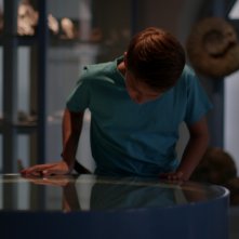 Dinosaurs: una scena del documentario firmato da Francesco Invernizzi