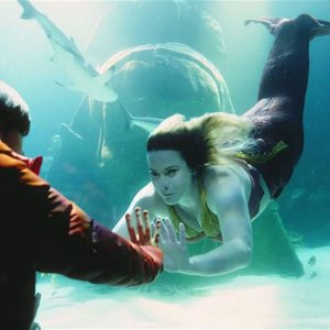 Butterfly: una scena della miniserie