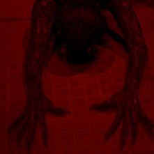 Suspiria: una spaventosa immagine del film