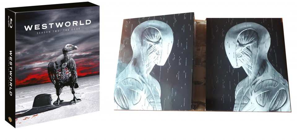 Westworld Cover E Androidi