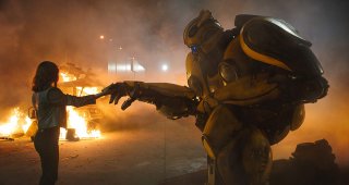 Bumblebee 10