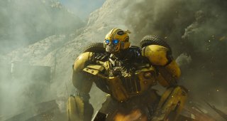 Bumblebee 13