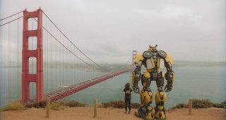 Bumblebee 15