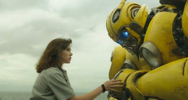 Bumblebee 1