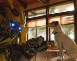 Bumblebee ispirato a Il gigante di ferro?