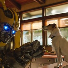 Bumblebee: Bumblebee interagisce con un cagnolino