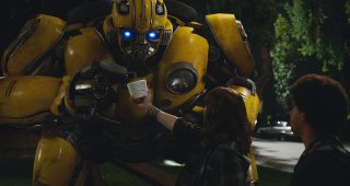 Bumblebee 7
