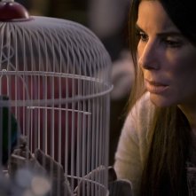 Bird Box: un primo piano di Sandra Bullock