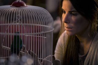 Bird Box 6