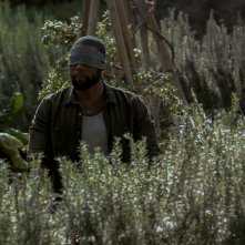 Bird Box: una scena del film Netflix