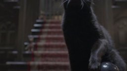 Annuncio rinnovo per Le terrificanti avventure di Sabrina