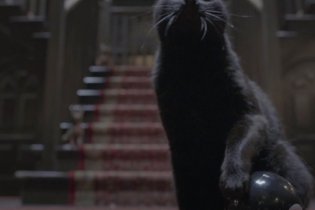 Annuncio rinnovo per Le terrificanti avventure di Sabrina