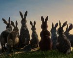 Recensione La collina dei conigli: su Netflix, scontro fra roditori in CGI