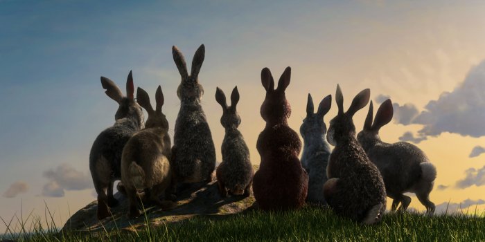 Recensione La collina dei conigli: su Netflix, scontro fra roditori in CGI