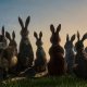 Recensione La collina dei conigli: su Netflix, scontro fra roditori in CGI