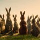 I film e le serie tv in streaming delle Feste: da La Collina dei Conigli a Cattivissimo Me 3