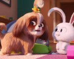 Pets 2: il nuovo trailer introduce la simpatica Daisy