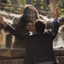 Attenti al gorilla: Frank Matano incontra il suo 'cliente'