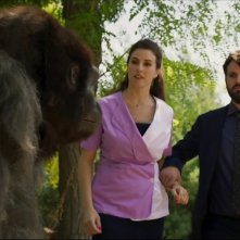 Attenti al gorilla: Frank Matano in una scena del film