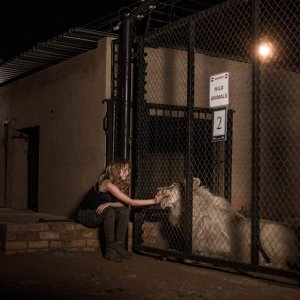 Mia e il leone bianco: Daniah De Villiers e il suo amico a quattro zampe in una scena