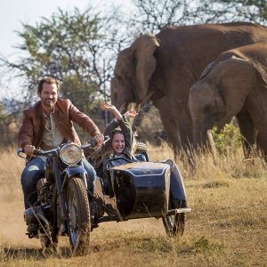 Mia e il leone bianco: Langley Kirkwood e  Daniah De Villiers  in una scena del film diretto da Gilles de Maistre