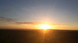 DigitaLife - Trailer Ufficiale