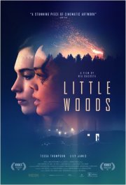Locandina di Little Woods