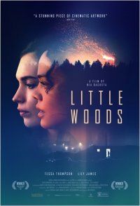 Locandina di Little Woods