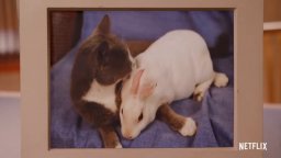 Unbreakable Kimmy Schmidt- Final Episodes Trailer