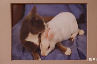 Unbreakable Kimmy Schmidt- Final Episodes Trailer